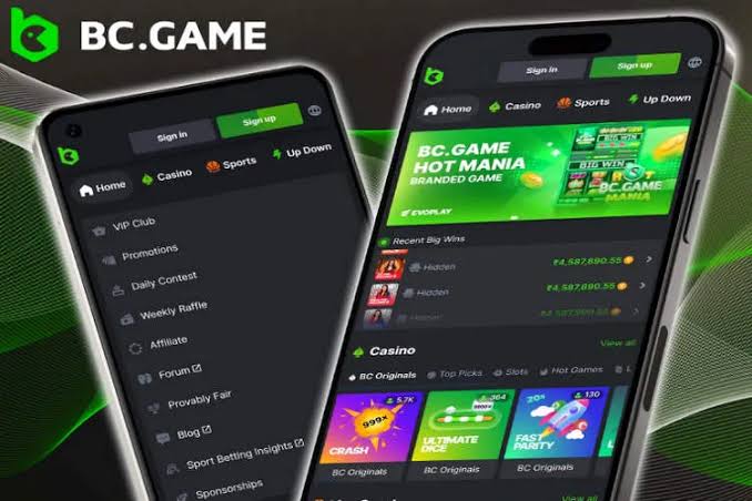Understanding BC.Game Mirror Access Your Gateway to Unlimited Gaming